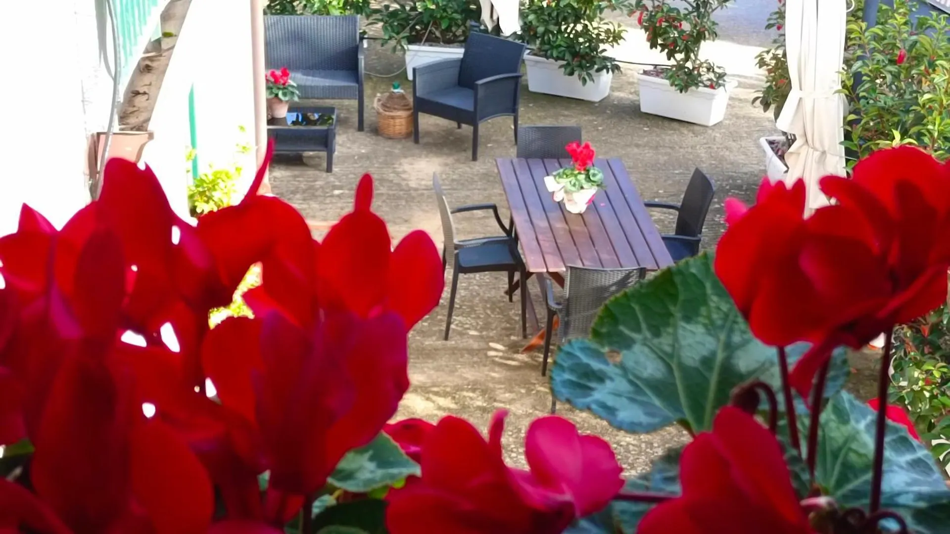 Casa Vacanze Nino Petrelli Naso Apartament