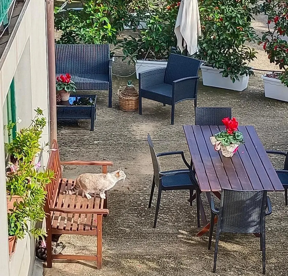 Casa Vacanze Nino Petrelli Naso Apartament